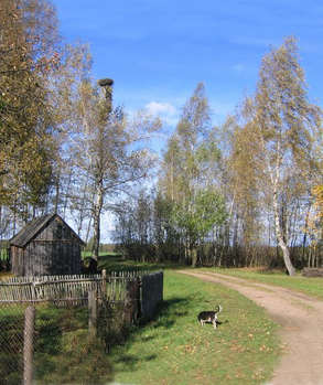 0-Местечко Пеньки, где в 1925-1928 гг. подвизались полоцкие сестры